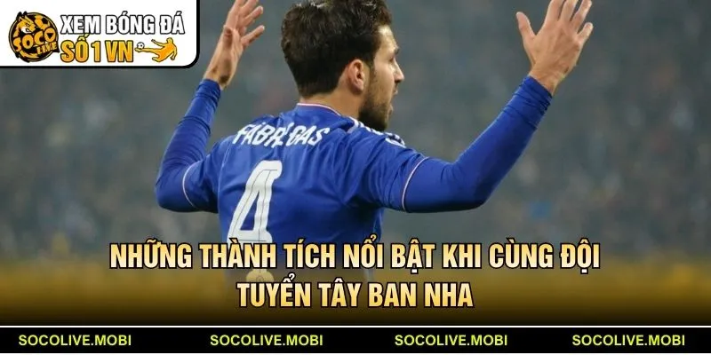 Những thành tích nổi bật khi cùng đội tuyển Tây Ban Nha